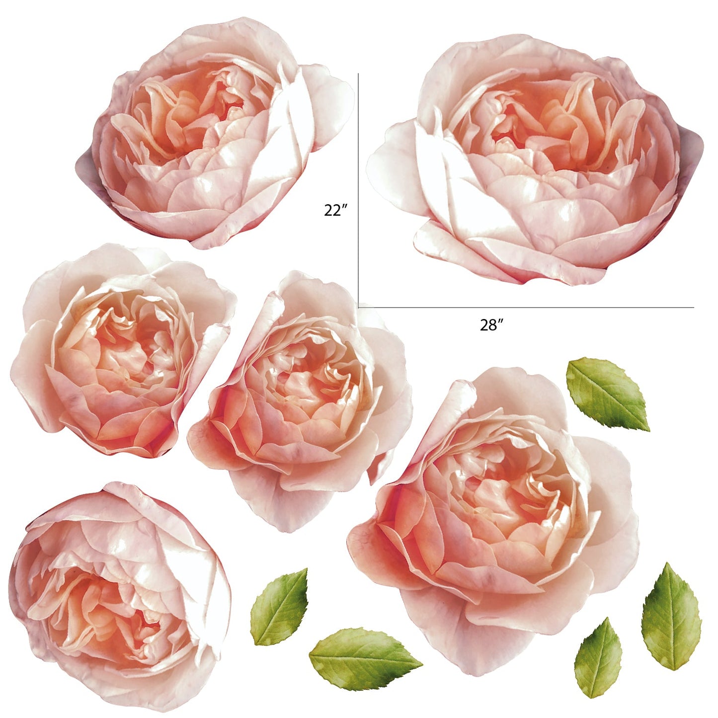 Extra Large Rose Peonies Flowers Wall Decals - Picture Perfect Decals