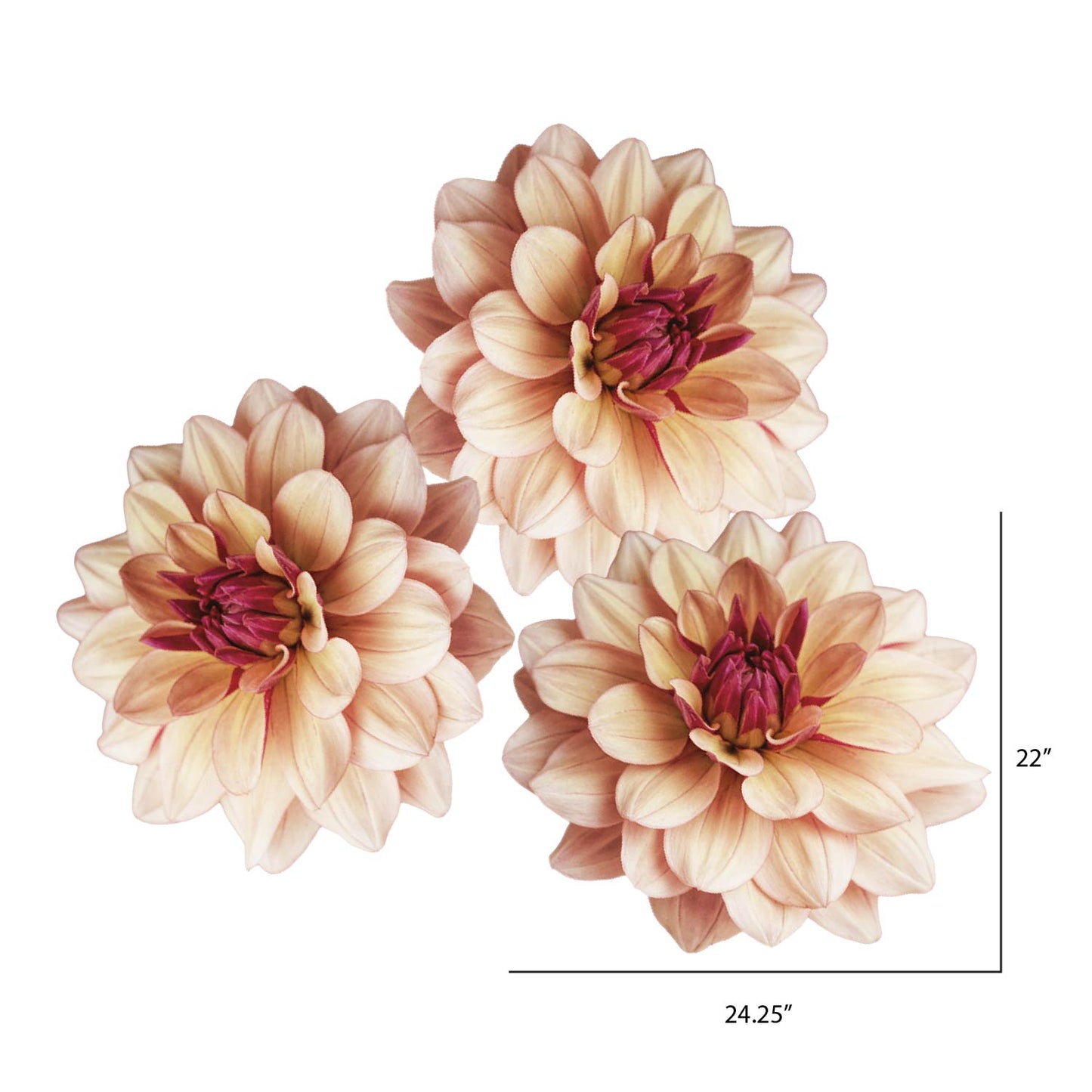 Large Dahlia Flower Decals | Set of three - Picture Perfect Decals