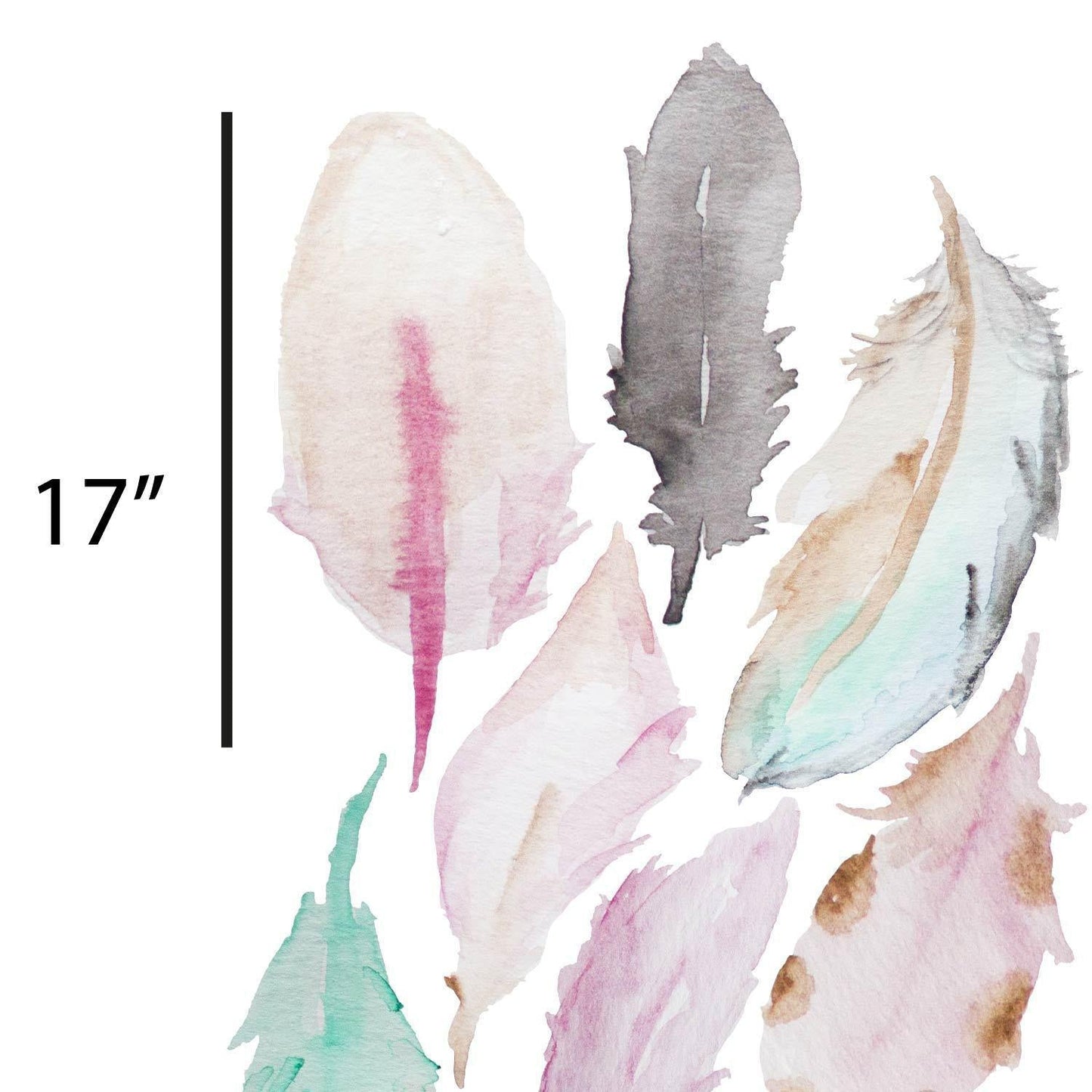 Watercolor Feathers - Peel and Stick Removable Wall Decals - Picture Perfect Decals