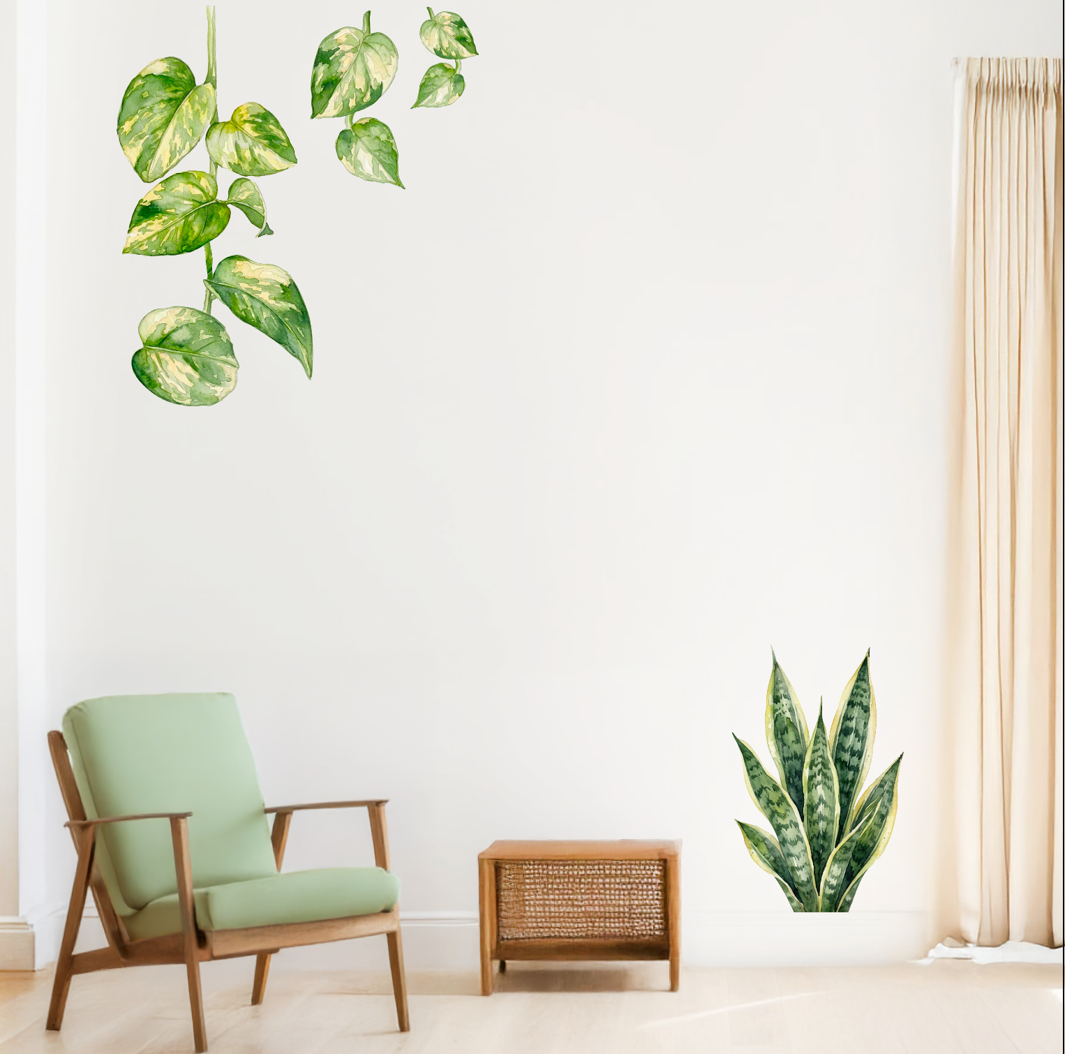Renter friendly pothos vine wall decor for apartment
