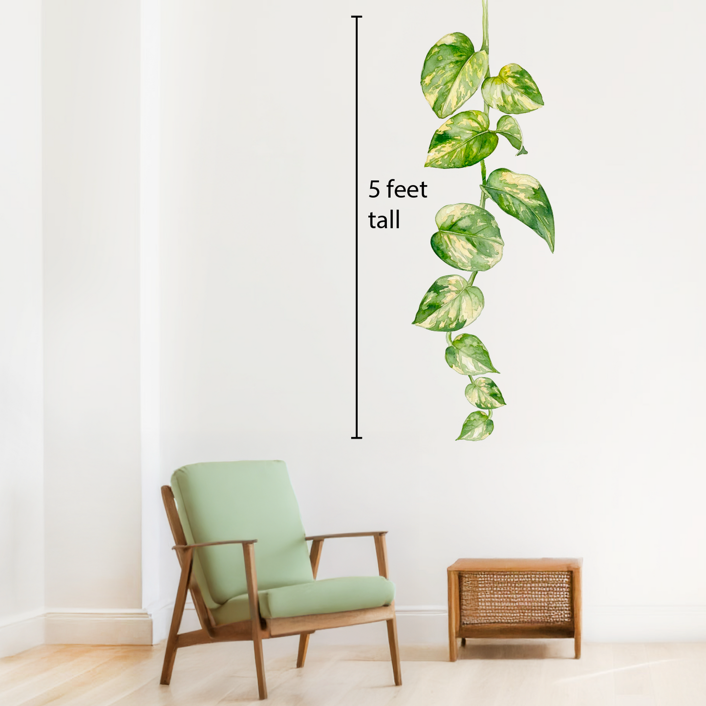 Peel and stick pothos plant wall decal is five feet tall.