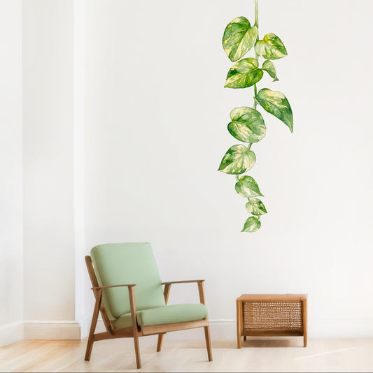 Watercolor pothos vine wall decal with trailing green leaves