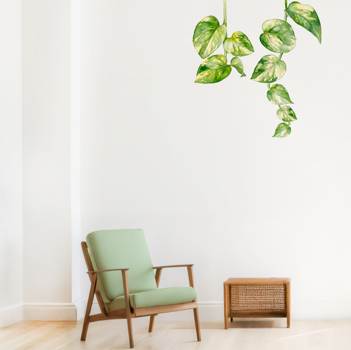 A wall decal of green variegated golden pothos plant leaves displayed on a white wall in a modern room setting with a mid-century wooden armchair and a small side table.