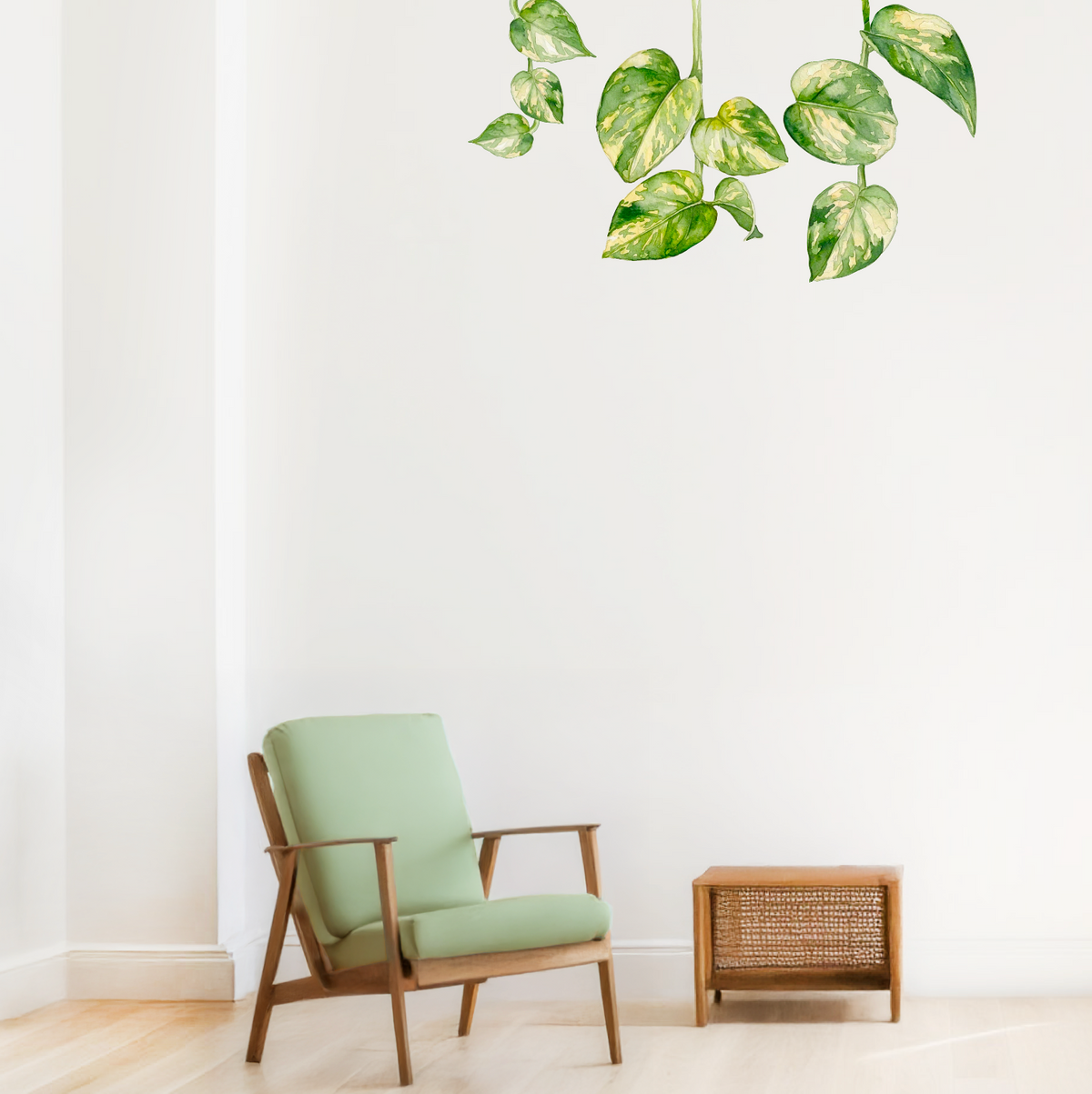Green and cream variegated houseplant leaves hanging from the top of a white wall  used as three pieces.