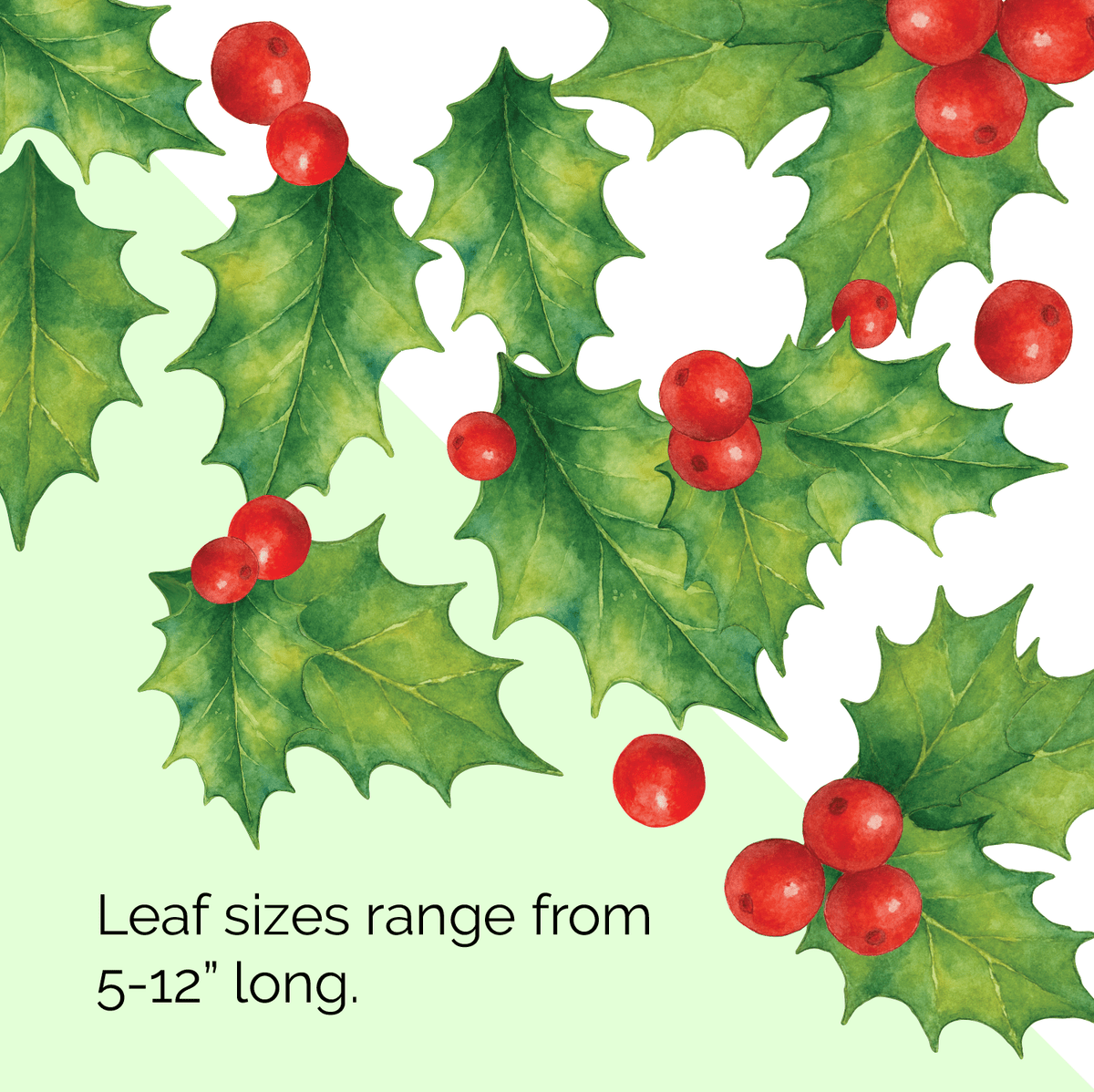 Christmas Holly Leaves & Berries Wall Decals | Removable Holiday Decor - Holiday Wall Decals - Lollistix Wall Decals