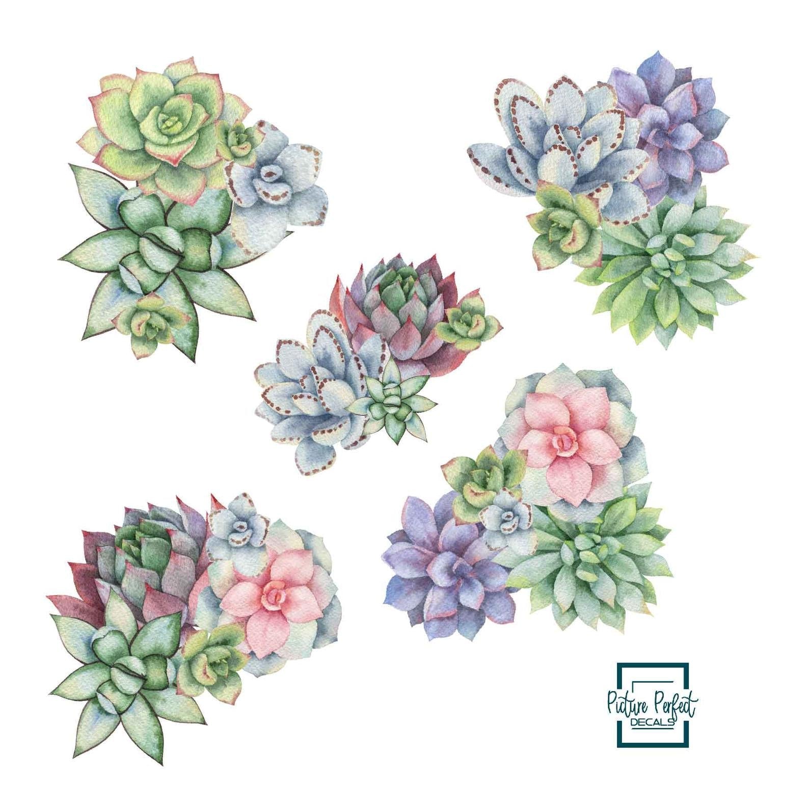 Succulents Wall Decals | Succulent Bouquet Wall Stickers - Picture Perfect Decals